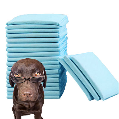 Les sous-vêtements certifiés CE ISO La solution ultime pour l'hygiène et la propreté des animaux de compagnie