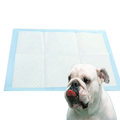Filtre arrière en PE respirant Noir Pissen Pads pour animaux de compagnie pour chiens Anti-dérapant et super absorbant