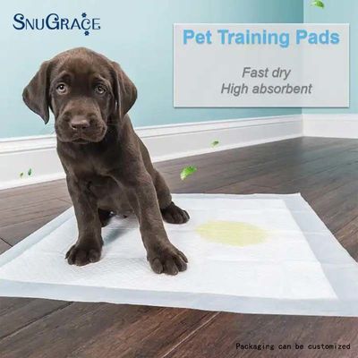 SNUGRACE Pad de pisse pour chien pour une formation rapide à la pisse 600X350mm 600X450mm 600X600mm 900X600mm