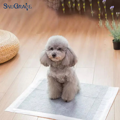 SnuGrace Pâtes d'urine pour animaux de compagnie de taille XS-XXXL Pulpe de fluff SAP Tissue en tissu non tissé PE
