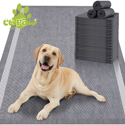 Les animaux de compagnie doivent être équipés d'un dispositif d'entraînement pour les chiens et les chats.