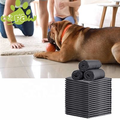 Pâtes jetables pour chiens pour l'entraînement des chiots Matériel Pâtes de poils SAP Tissu PE non tissé