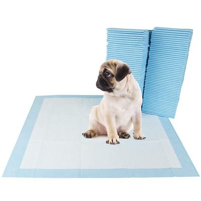 Plomberie à usage unique en coton personnalisé pour l' entraînement des animaux de compagnie