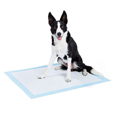 Plomberie à usage unique en coton personnalisé pour l' entraînement des animaux de compagnie