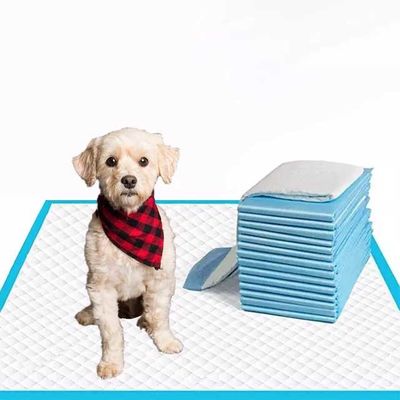 20g-120g Cœur de chien Pet Training Pads couches Charbon de bois Pet Pads pour les chiens Diaper Training