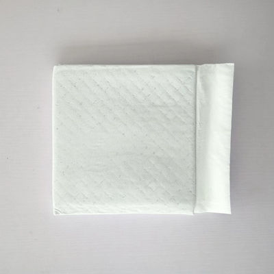 Japon SAP Pet Training Pads pour l'entraînement des chiens dans les toilettes et l'entraînement des chiens au charbon