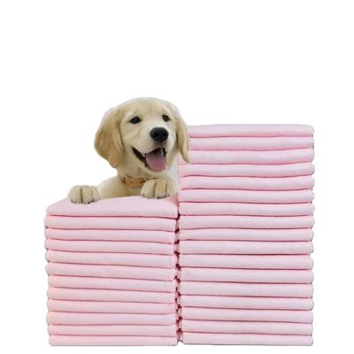 Les couvertures de lit et les couvertures d'entraînement pour chiots avec échantillons offerts gratuitement