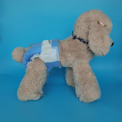 Couche bleue pour chiens pour animaux de compagnie 3D