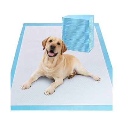 Des échantillons offerts gratuitement OEM/ODM Des serviettes de toilettes pour animaux de compagnie pour l'entraînement et le sommeil des chiots