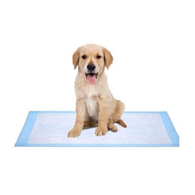 Des échantillons offerts gratuitement OEM/ODM Des serviettes de toilettes pour animaux de compagnie pour l'entraînement et le sommeil des chiots