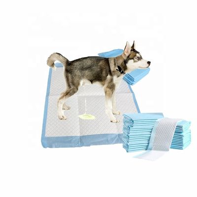Des échantillons offerts gratuitement OEM/ODM Des serviettes de toilettes pour animaux de compagnie pour l'entraînement et le sommeil des chiots