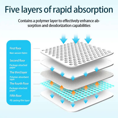 Modèle gratuit de base 6Ply Des coussins jetables super absorbants pour les adultes