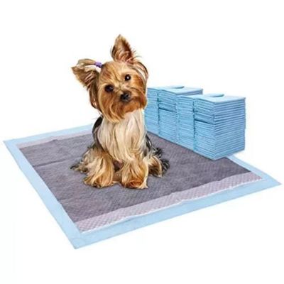 Des échantillons sont offerts gratuitement Biodégradable Chien chiot chiot extra grand chiot chat Chien de formation de chiot