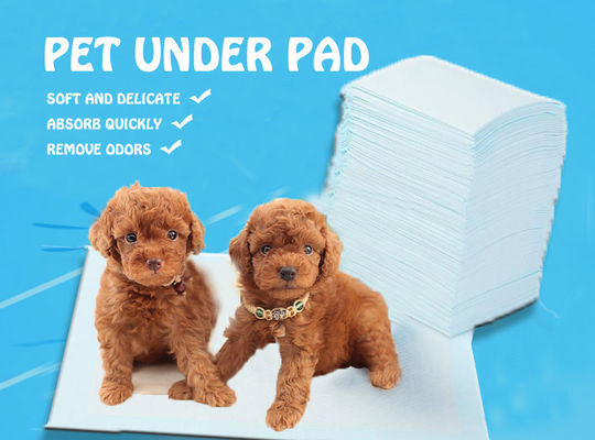 S.M.L.XL.XXL Parures hygiéniques pour animaux de compagnie pour OEM/ODM Parures jetables pour animaux de compagnie