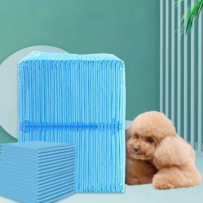Produits d'entraînement pour animaux de compagnie bleu/blanc/vert/noir/gris