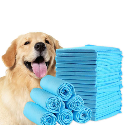 Produits d'entraînement pour animaux de compagnie bleu/blanc/vert/noir/gris