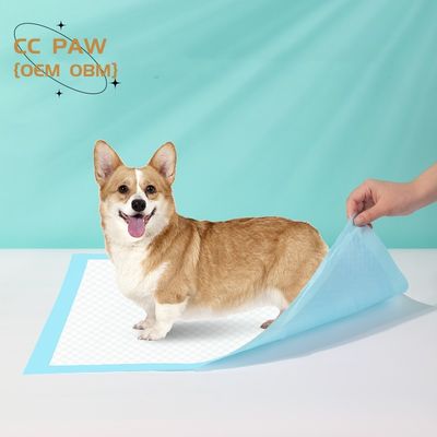 Pad d'entraînement biodégradable écologique pour animaux de compagnie pour chiens, chats et animaux de taille XS-XXXL