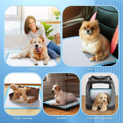 30 "x 36" X Grand Noir Proof de fuite chien Wee Wee Pads pour l'entraînement de chiot adhésif 5 couches