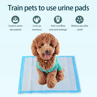 Pâte de poils SAP Tissu PE étanche à l'eau Mat pour animaux de compagnie couche pour la formation de chiots