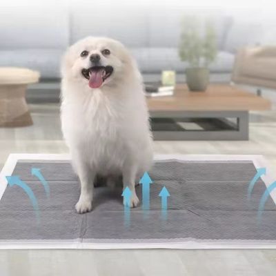 Entraînement de chiot Pet Toilette Piss Pads avec Sandia ou Sumitomo SAP et couleur personnalisée