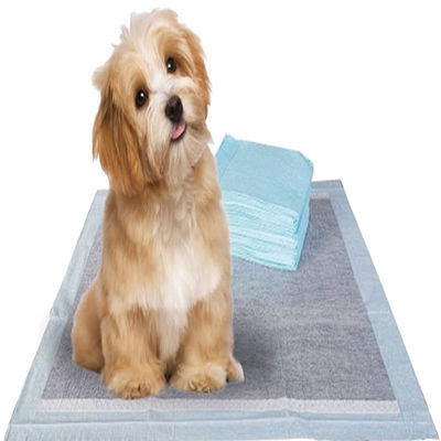 Entraînement de chiot Pet Toilette Piss Pads avec Sandia ou Sumitomo SAP et couleur personnalisée