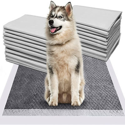 Entraînement de chiot Pet Toilette Piss Pads avec Sandia ou Sumitomo SAP et couleur personnalisée