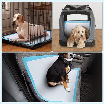 Entraînement de chiot Pet Toilette Piss Pads avec Sandia ou Sumitomo SAP et couleur personnalisée