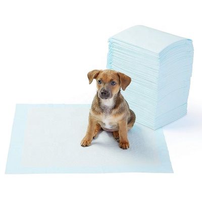 Couleur personnalisée Poudrier jetable pour animaux de compagnie pour chiens Poudriers sanitaires
