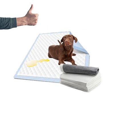 Couleur personnalisée Poudrier jetable pour animaux de compagnie pour chiens Poudriers sanitaires
