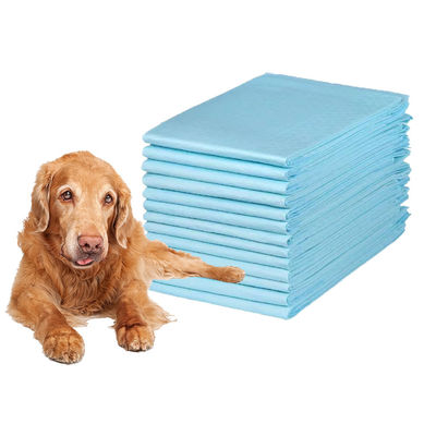 Tailles personnalisées échantillon gratuit Plans d'entraînement jetables pour chiots