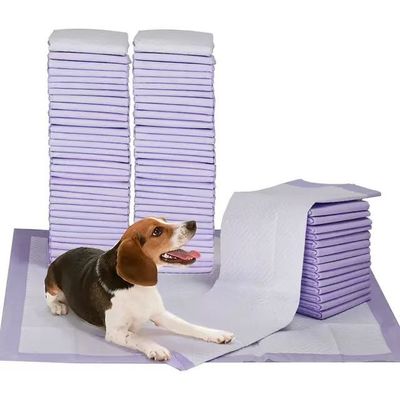 Tailles personnalisées échantillon gratuit Plans d'entraînement jetables pour chiots