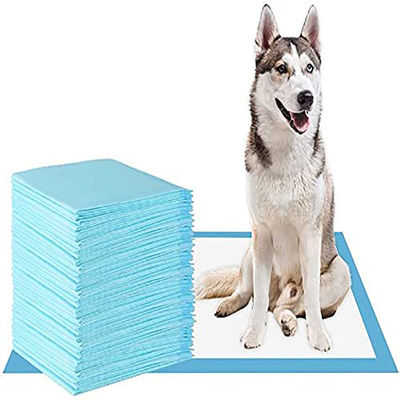 60*45/60*60/60*90cm Déodorant SAP Pet Pee Pad pour l'entraînement à l'urine dans les toilettes