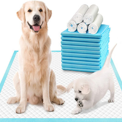 60*45/60*60/60*90cm Déodorant SAP Pet Pee Pad pour l'entraînement à l'urine dans les toilettes