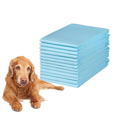 Type d'article PEE PADS 60 x 60cm Filtre inférieur imperméable à la fuite pour le changement de tapis d'entraînement pour chiens