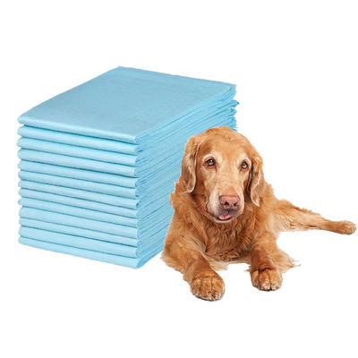Des couches d'entraînement aux urines pour animaux de compagnie, des couches ultra-absorbant pour une entraînement efficace à l'incontinence.