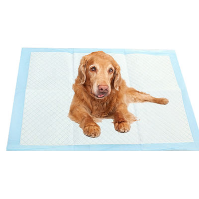 Des coussins d'entraînement à l'urine pour chiots pour animaux de compagnie extra-grands bleu certifié CE ISO