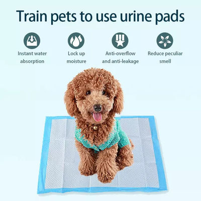60*60 Wee Wee Dog Wee Pad 5 couches absorbant pour entraînement des animaux de compagnie