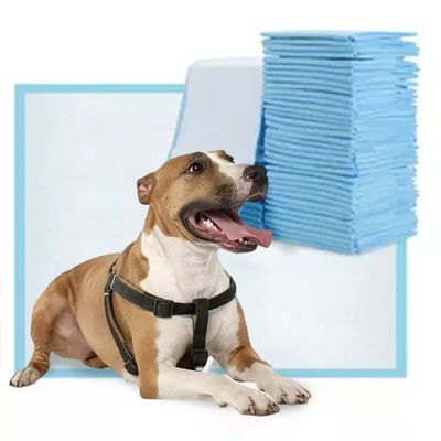 45x60cm Pet Pee Pad 5 couches absorbant chien et chiot Pad d'entraînement adapté à tous les animaux