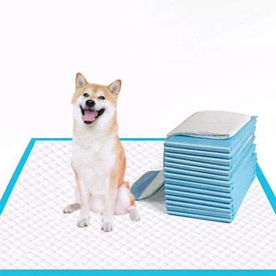 Pad d'entraînement jetable à 5 couches bleu pour petits/moyens/grands chiens Super absorbant