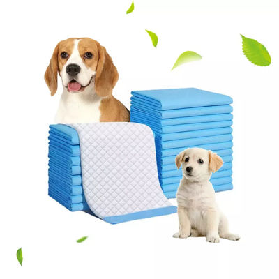 72 Puits d'aspiration puissants Pet Pad 60x90cm Pad absorbant pour l'entraînement du chien/chat/lapin