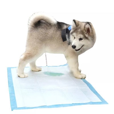 Pads d'entraînement pour les chiens pour animaux de compagnie Urinal jetable pour animaux de compagnie avec absorbance de surface sèche