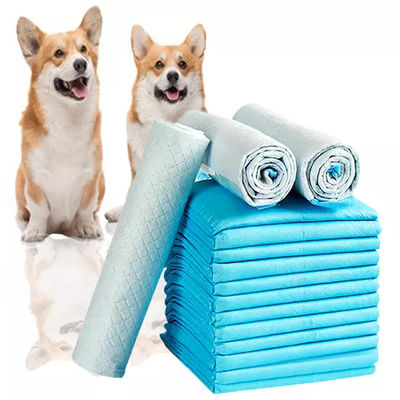SAP 5 Ply Layer Pet Potty Training Pads for Dogs Puppy Dog Training Pet Toilet Pee Pads Pour animaux de compagnie Pour animaux de compagnie