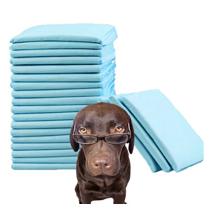 600X350 600X450 600X600 900X600 Pad de formation pour animaux à l'épreuve des fuites avec matériau durable