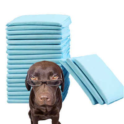 600X350mm couche imperméable pour animaux de compagnie pour l'entraînement des chiens à faire pipi en fibre