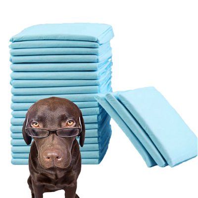 Petits animaux cinq couches de super absorbant Pet Pad de formation pour l' urine Pee Mat chien chat