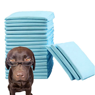 Nettoyage pour animaux de compagnie, coussin d'entraînement jetable pour chiots à haute absorbance, certifié CE ISO