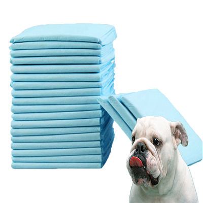 Couche d'urine pour chien respirante et absorbante OEM/ODM Acceptée avec étiquette personnalisée