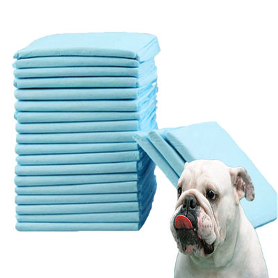 Petits animaux Pad d'entraînement pour animaux de compagnie pour l'absorption de l'urine et l'entraînement de l'agilité