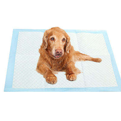 Pads d'entraînement pour chiots à étiquette personnalisée avec conception fragile et fonction anti-fuite