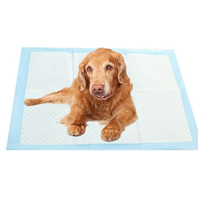 Piste d'urine pour chiens de compagnie Petits animaux Longueur x largeur mm 600X350 600X450 600X600 900X600